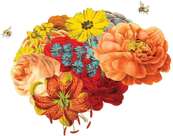 一霎時把前情俱已昧盡